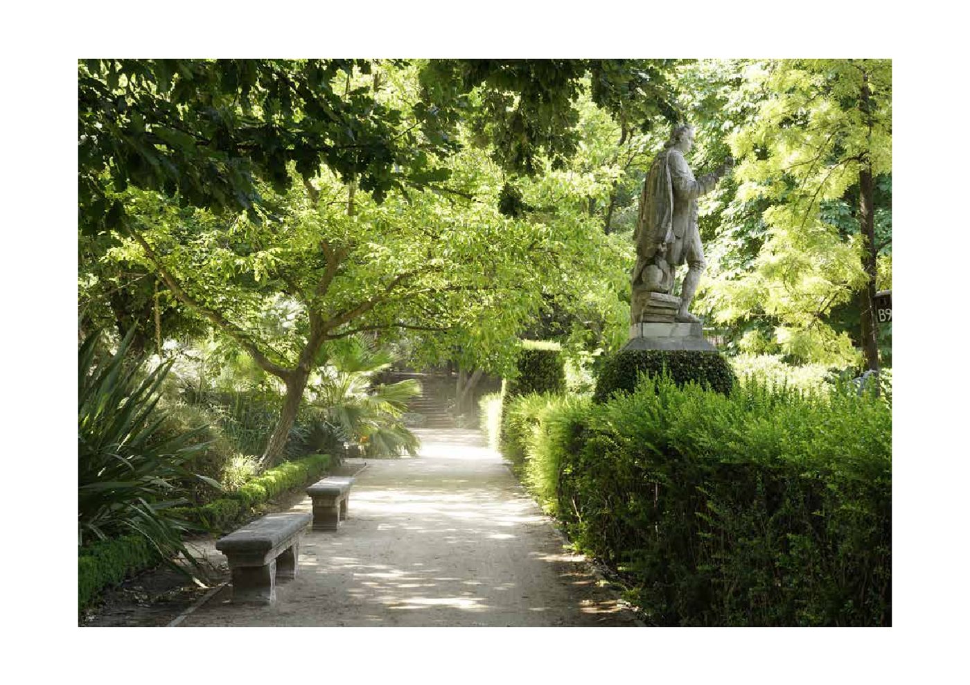 Real Jardín Botánico — página 2